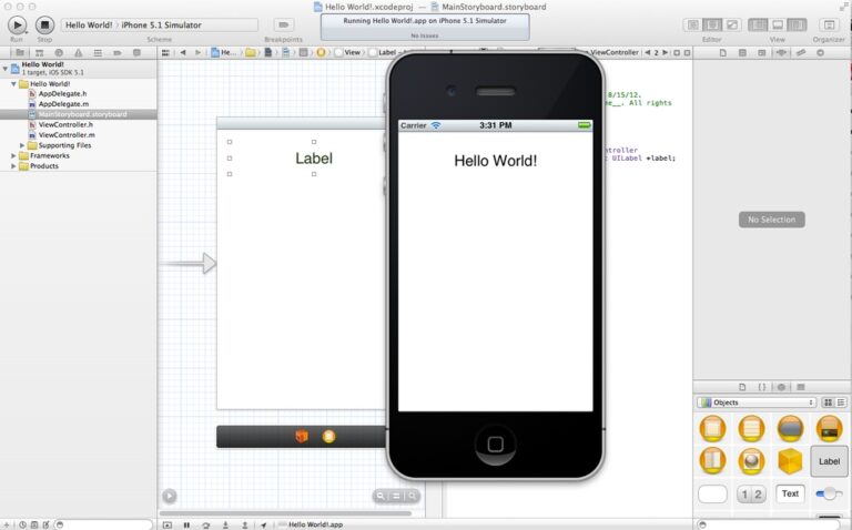 iOS App Development: How To Develop Your First IOS App?