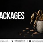 The Death of Monthly SEO Packages